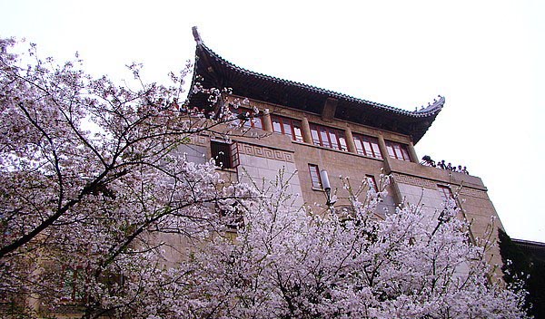 校園風(fēng)光