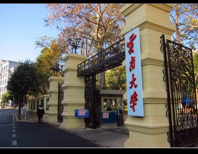 校園風(fēng)光