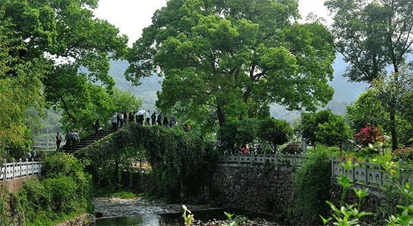 感受美麗鄉村，發展綠色鐵路——太原局集團公司青年公務人員培訓班心得體會