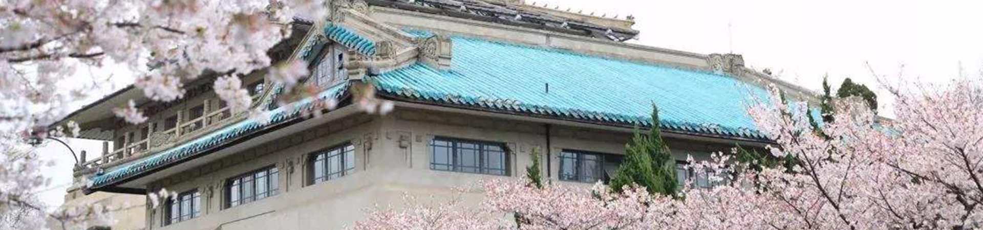 武漢大學(xué)干部培訓(xùn)