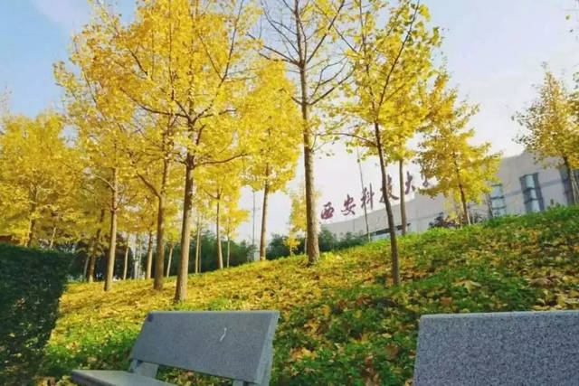 西安科技大學(xué)校園一角